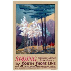Spring: Indiana Dunes State Park (11x17)