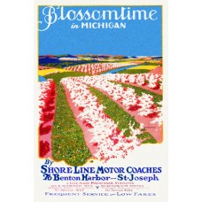 Blossomtime in Michigan (11x17)