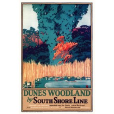 Dunes Woodland (16x24)